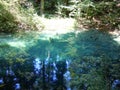 Trees, colors, lights and shadows reflect in the Beiu`s Eye lake